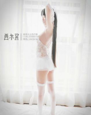 电影免费观看大全在线观看熊出没_剧情片电影全集观看